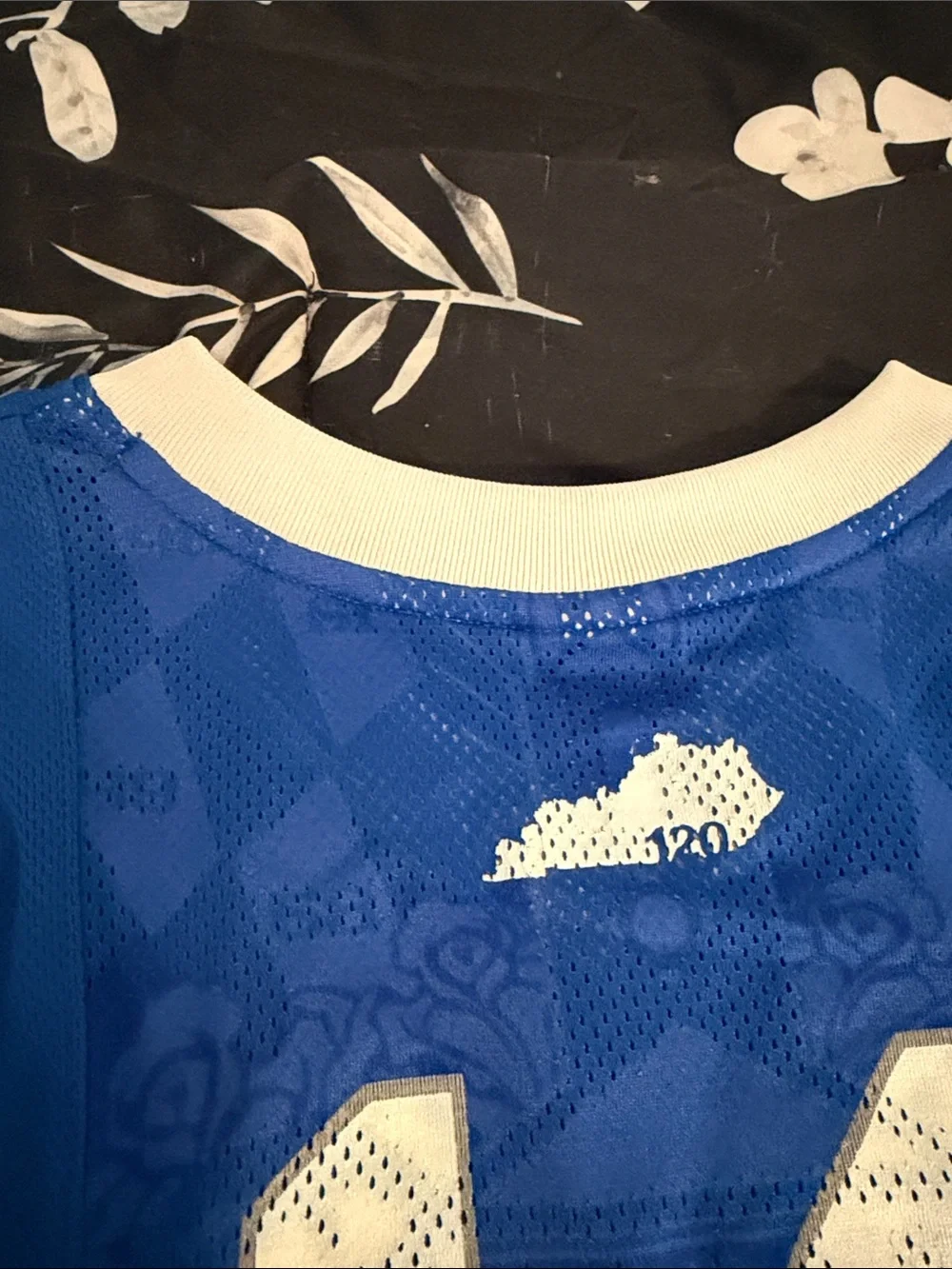 Nike Blue and White Kentucky Basketball Jersey #14